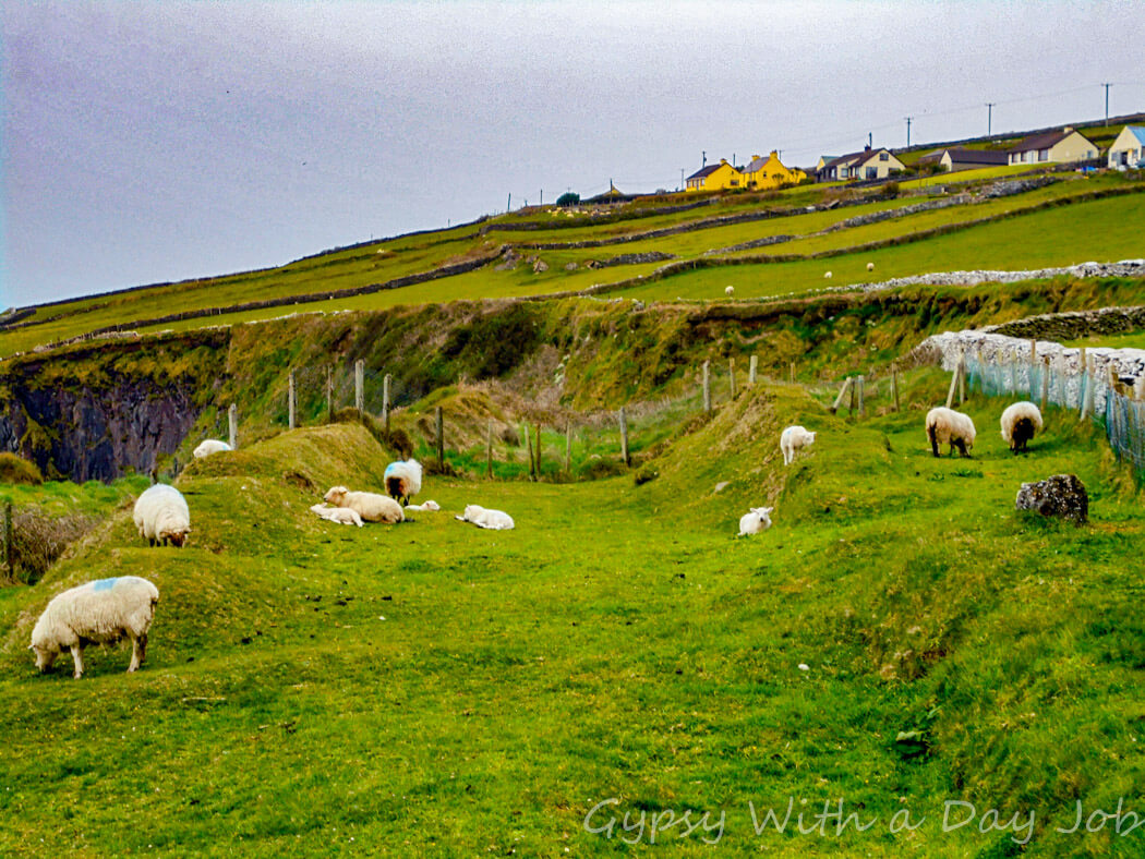 Featured image of post Countryside Pictures Of Ireland