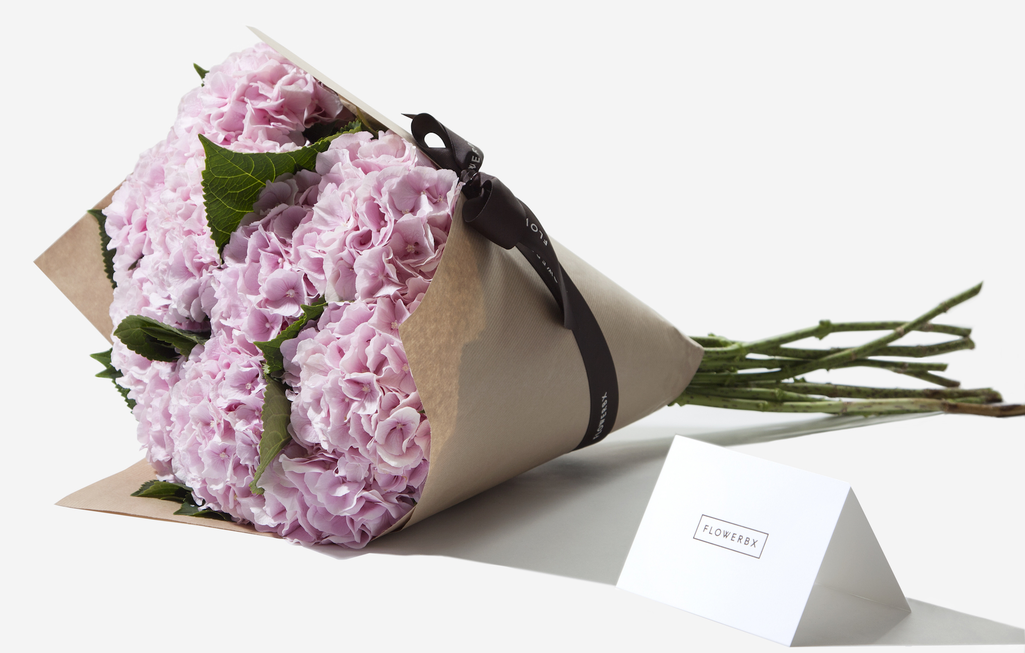 Featured image of post Flower Delivery Companies London