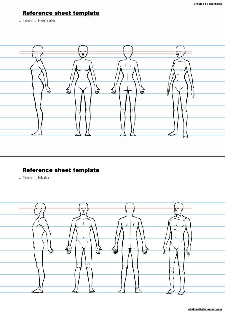 Featured image of post Human Reference Sheet