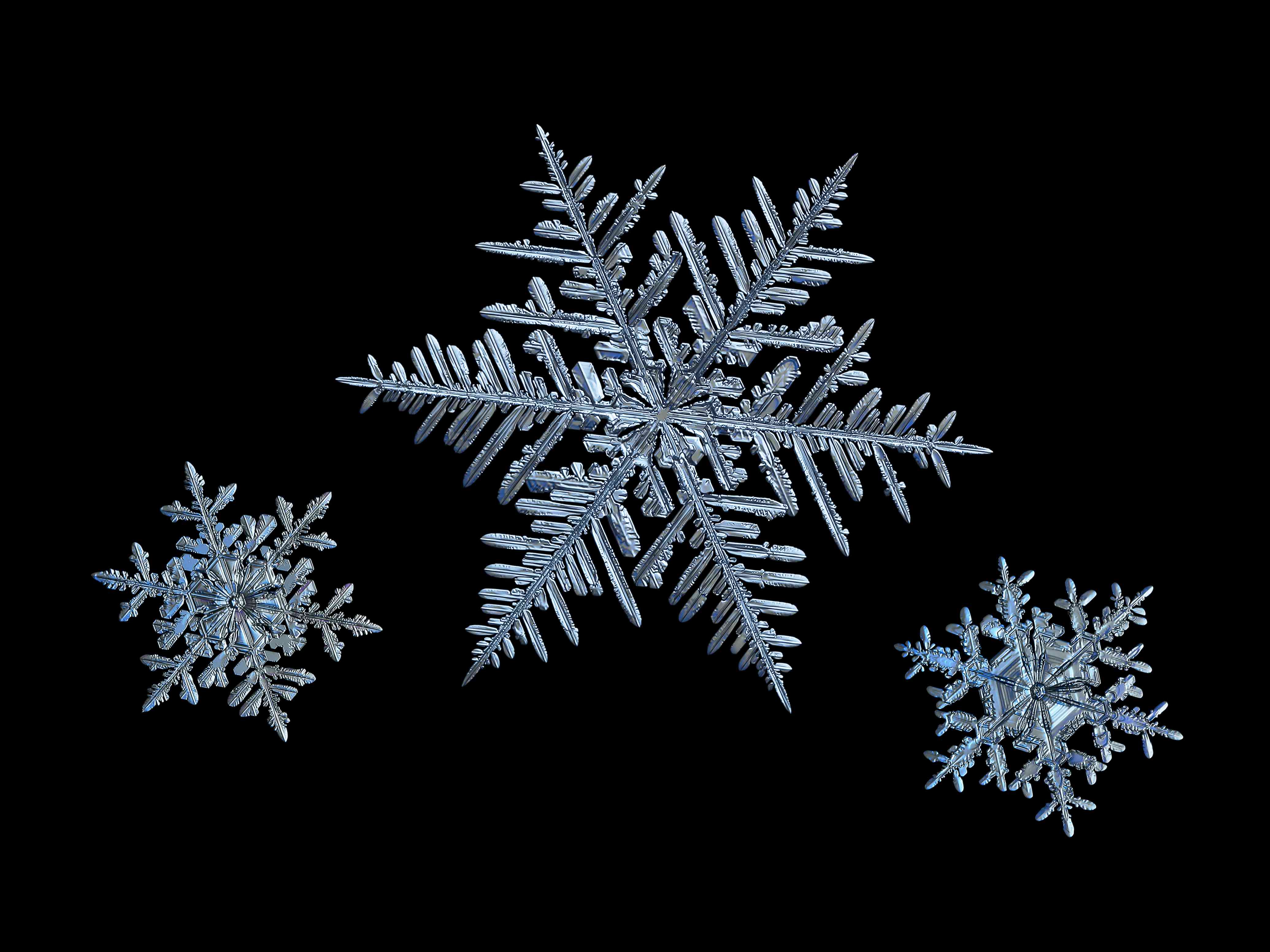 Featured image of post Macro Photography Snowflakes