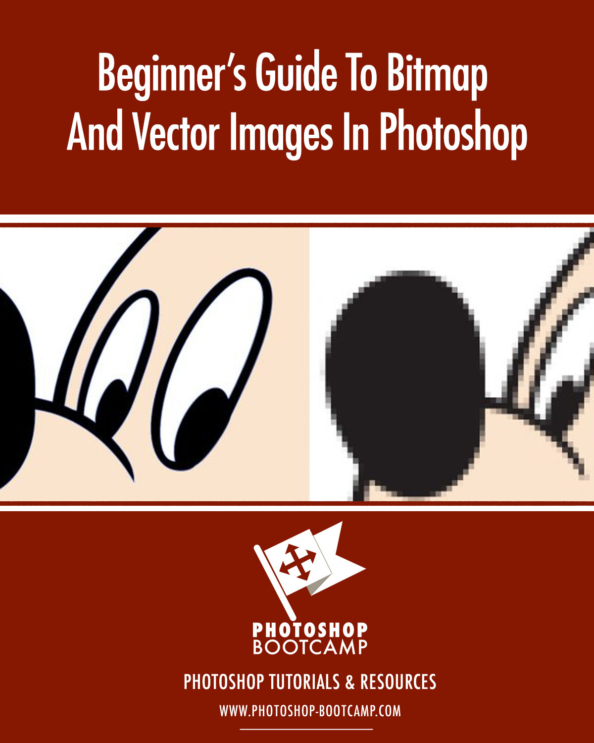pics Which Is Used To Create A Vector Image Paths Pixels Resolution Raster Data graphic files explained vector vs raster