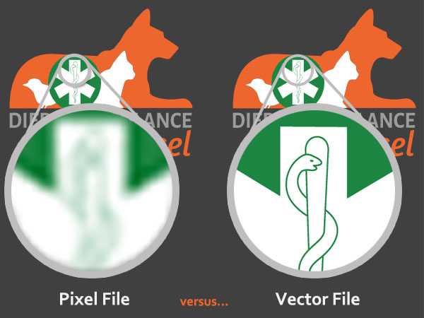 pix Which Is Used To Create A Vector Image Paths Pixels Resolution Raster Data what is the difference between vector