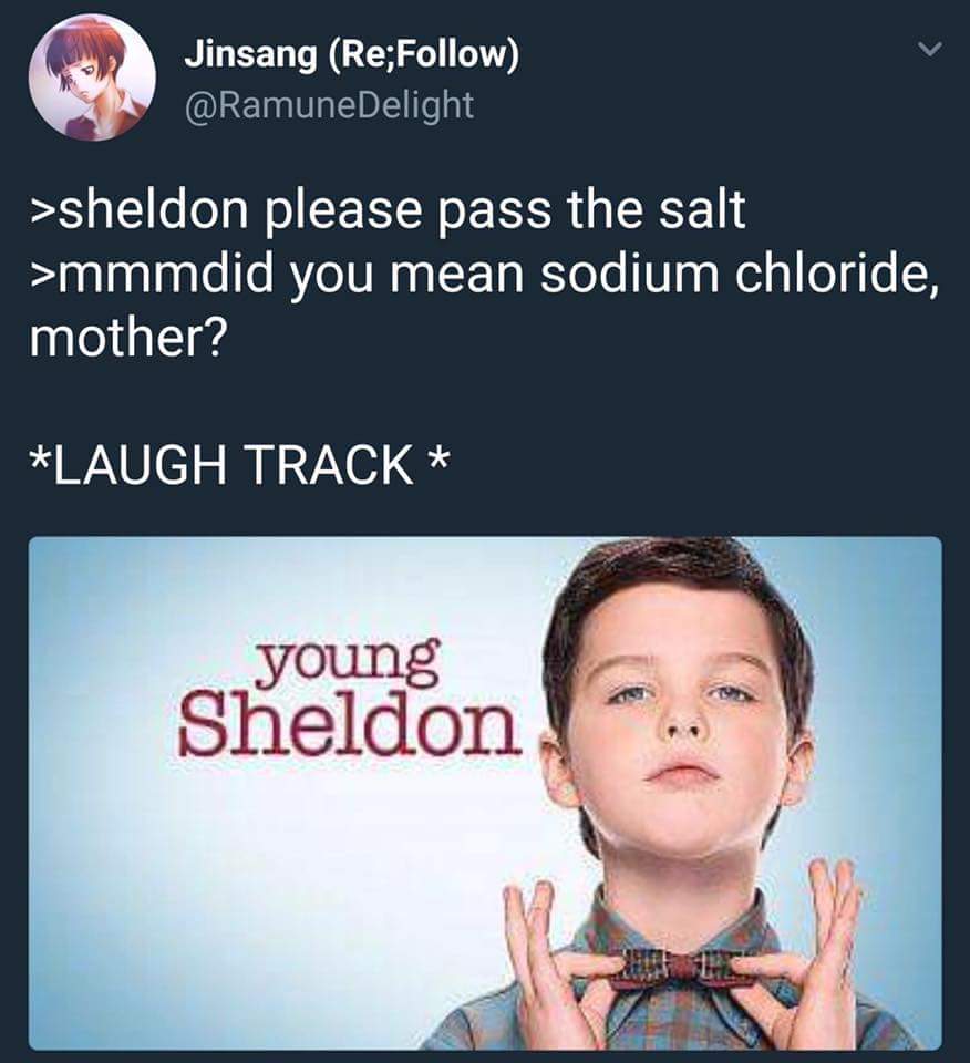 Featured image of post Young Sheldon Reddit